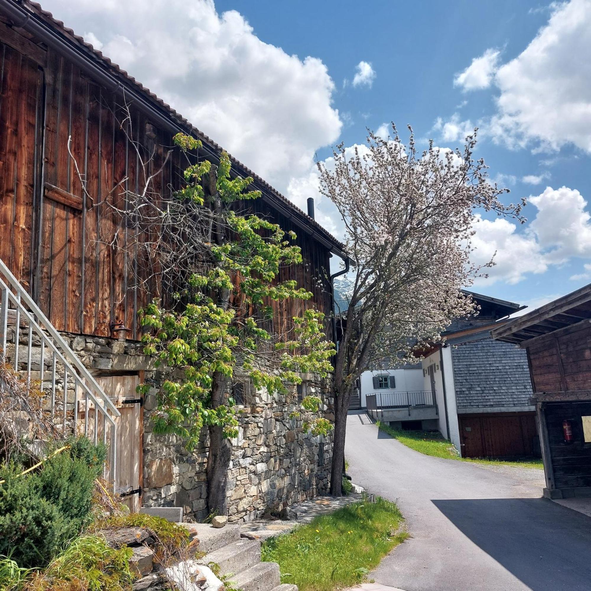 Ferienwohnung Bichlhof Niederthai Exterior foto